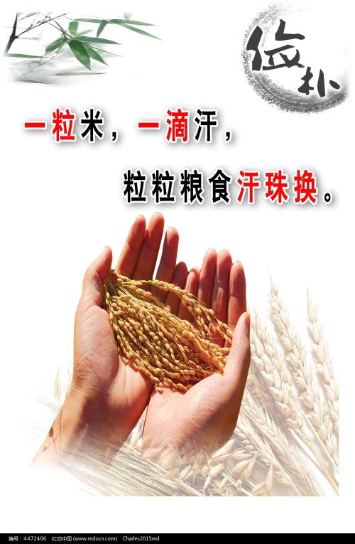 深圳做个离婚证好多钱